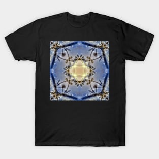 Snowy crystal T-Shirt